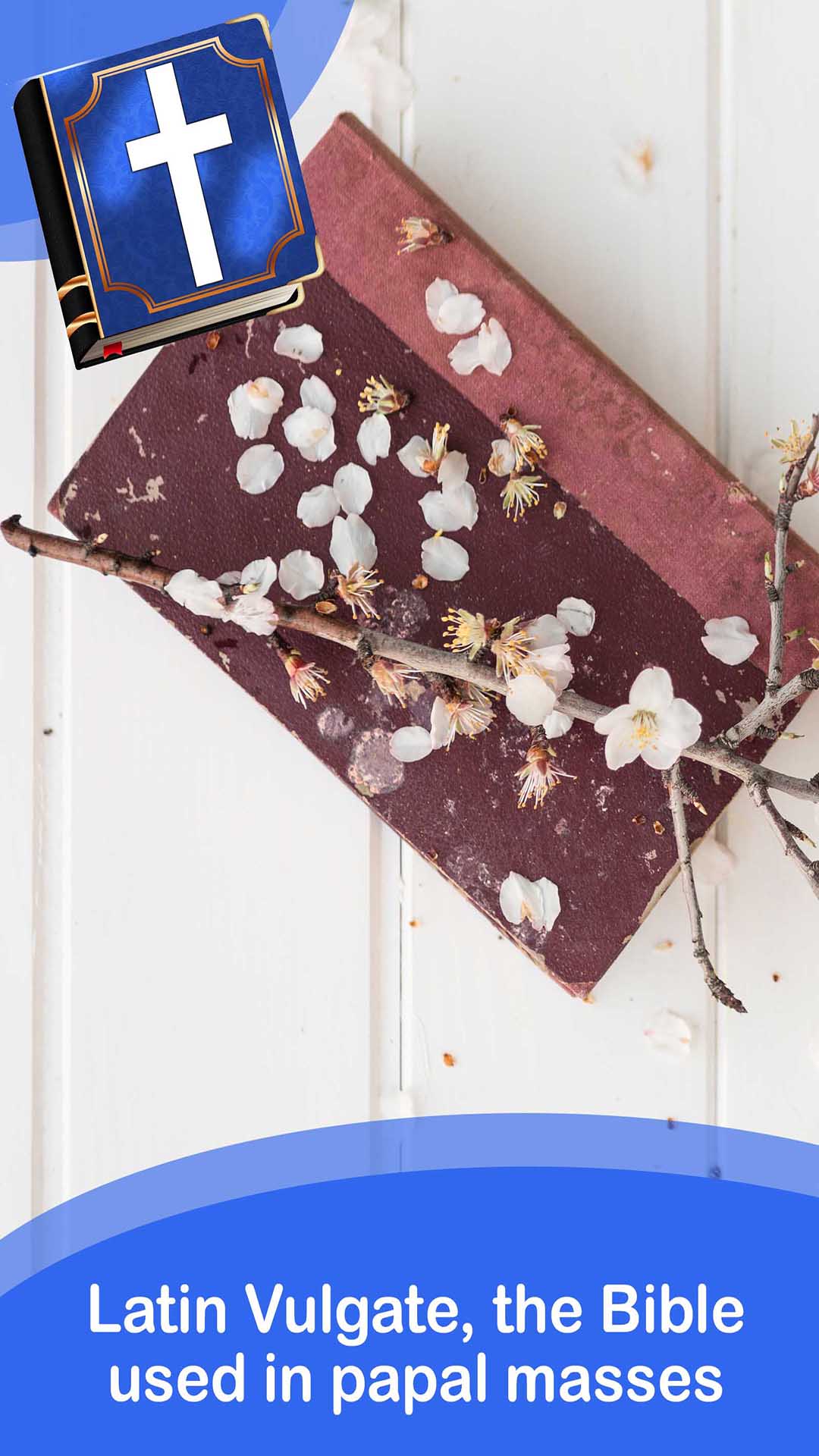 In principio erat Verbum