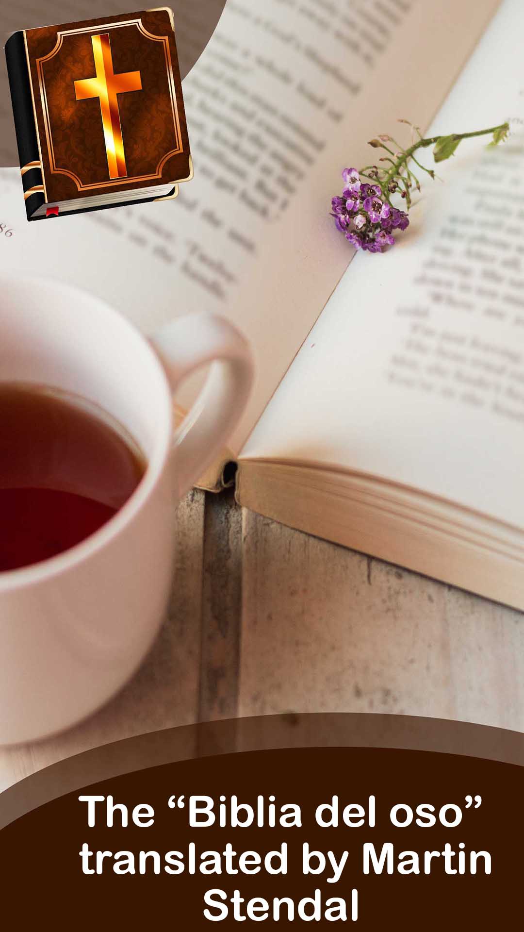 Bible In Spanish Bible Verses